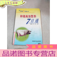 正 九成新种猪高效繁养7日通