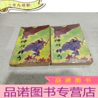 正 九成新神雕狂丐 上下