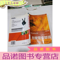 正 九成新形象思维基础:激发艺术创作的灵感