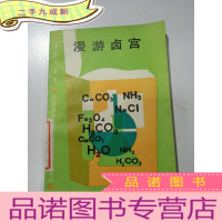 正 九成新漫游卤宫