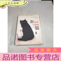 正 九成新教海鸥飞翔的猫