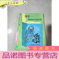 正 九成新海花——珊瑚和它的近亲