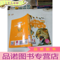 正 九成新动物狂欢节