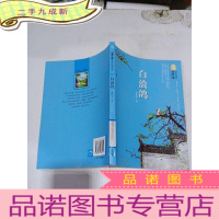 正 九成新白浪鸽