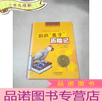 正 九成新国际大奖小说:鹦鹉麦子历险记
