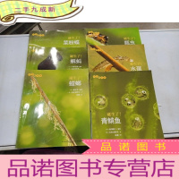 正 九成新生命的故事 诞生了!