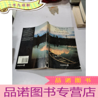 正 九成新an outline of american literature:美国文学概论