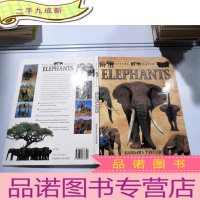 正 九成新Elephants:大象