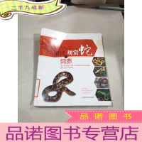 正 九成新天下宠物:图说观赏蛇的饲养