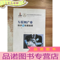 正 九成新新兴产业和高新技术现状与前景研究丛书:互联网产业现状与发展前景