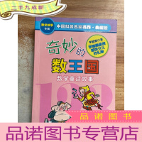 正 九成新奇妙的数王国