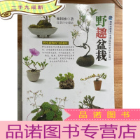 正 九成新野趣盆栽