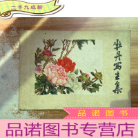 正 九成新牡丹写生集