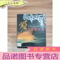 正 九成新爱在西藏游走
