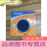 正 九成新探索频道·动物变变变. 毛毛虫变蝴蝶