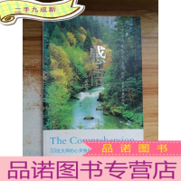 正 九成新感悟:以爱的名义发现