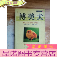 正 九成新博美犬