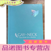 正 九成新彩虹鸽