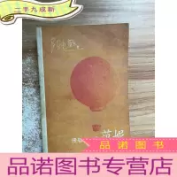正 九成新书中书:一个中国墨客的告白