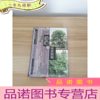 正 九成新乔木与观赏棕榈