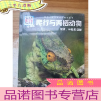 正 九成新什么是什么:爬行与两栖动物(珍藏版)