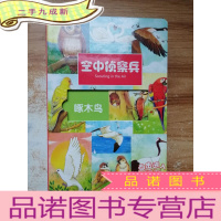 正 九成新空中侦察兵