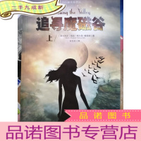 正 九成新追寻魔磁谷(上)/小小翻译家译丛