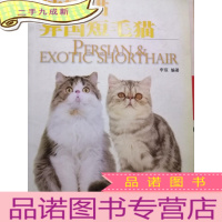 正 九成新波斯猫、异国短毛猫