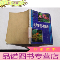 正 九成新仙人掌与多浆花卉