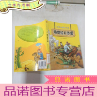 正 九成新不带地图去历险:撒哈拉大沙漠