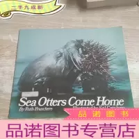 正 九成新sea otters come home
