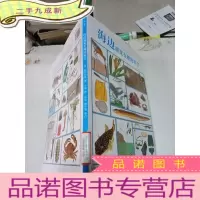 正 九成新海边遇见有趣的科学