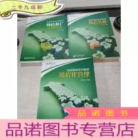 正 九成新电商精英系列教程 流程化管理+网店推广+网店客服(3本合售)