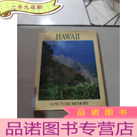 正 九成新HAWAII APICTURE MEMORY:夏威夷顶点记忆