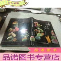 正 九成新奇趣的仙人掌类变异