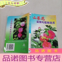 正 九成新山茶花盆栽与繁育技术