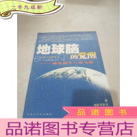 正 九成新地球脑的觉醒:进化的下一次飞跃