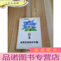 正 九成新世界足球知识手册