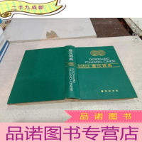 正 九成新DIZIONARIO ITALIANO-CINESE意汉词典