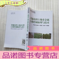 正 九成新设施农田土壤重金属污染控制原理与技术[]
