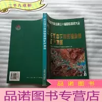 正 九成新长江中下游铁铜金银矿产地质[]