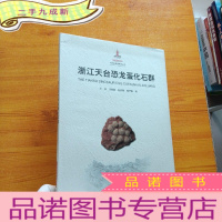 正 九成新浙江天台恐龙蛋化石群 大16开 []