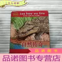正 九成新自然传奇[全20册]