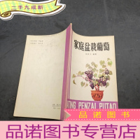 正 九成新家庭盆栽葡萄