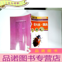 正 九成新自然图书馆:螳螂·萤火虫·瓢虫