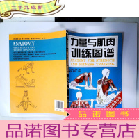 正 九成新力量与肌肉训练图谱