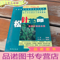 正 九成新松针革命:健康长寿启示录
