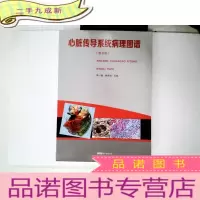 正 九成新心脏传导系统病理图谱