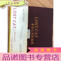 正 九成新流浪猫悟求——Part 2 爱的追求