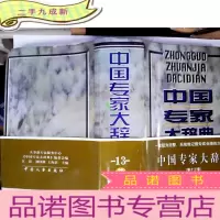 正 九成新中国专家大辞典.13